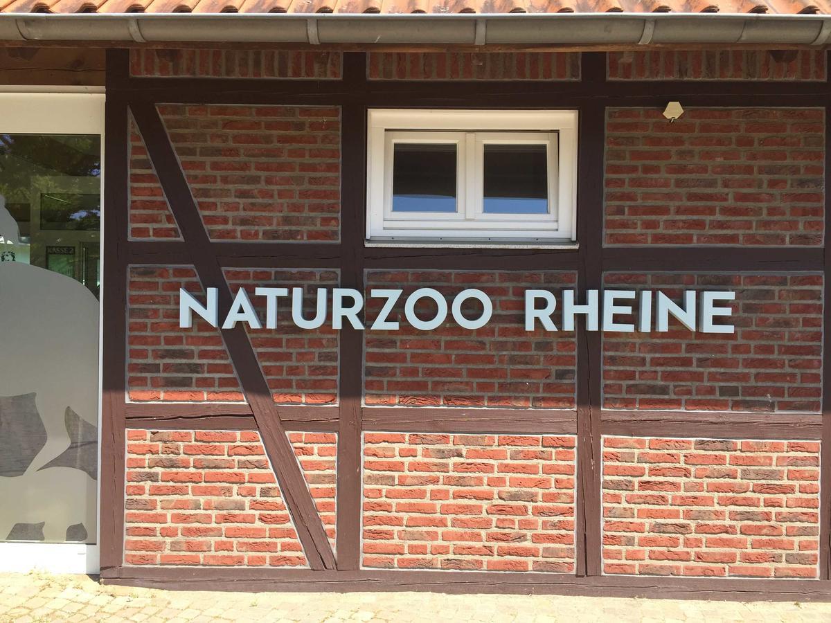 Ferienwohnungen Rheine Markt 12 Eksteriør billede